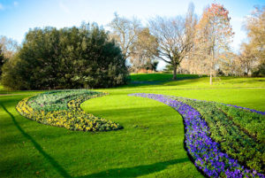 Клумбы, Гайд-парк