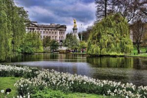 Букингемский дворец. Парк