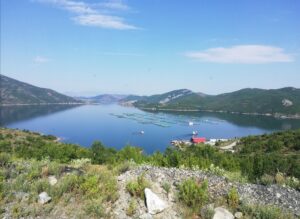 Озеро Коман, Албания